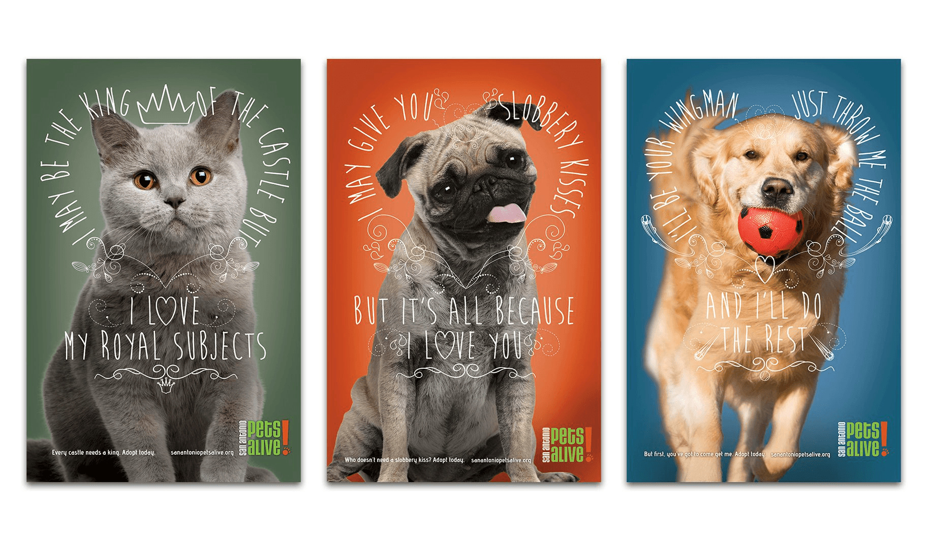 SA Pets Alive Posters