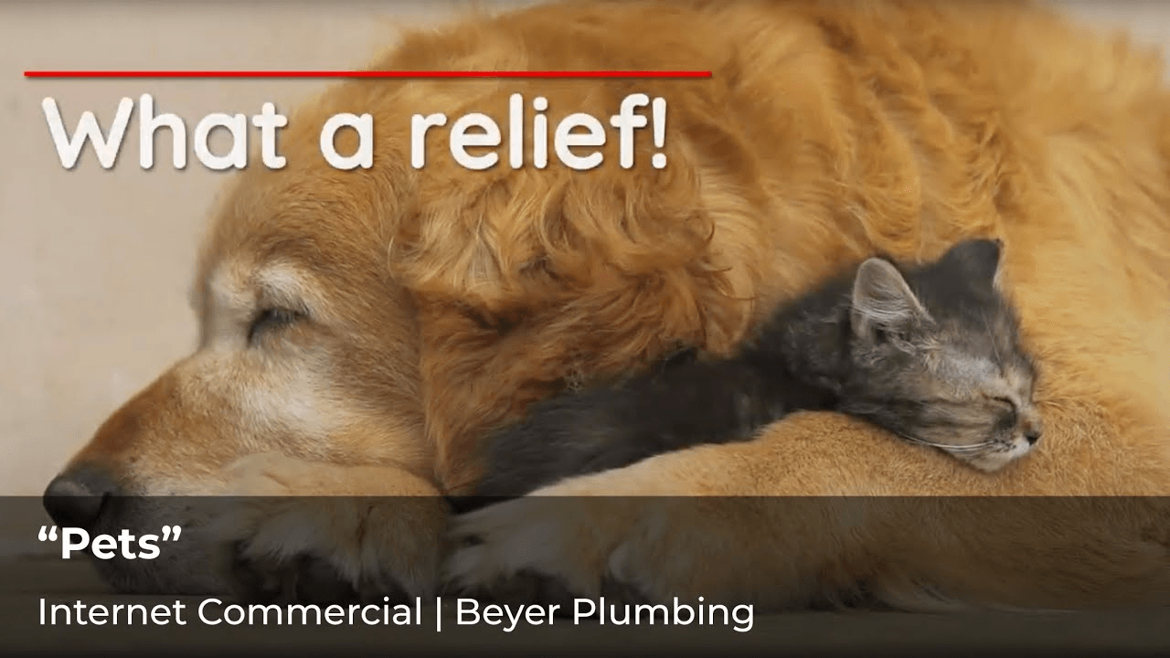 Beyer Plumbing, “Pets”