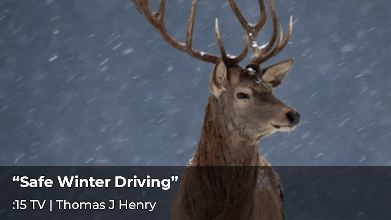 Thomas J Henry, “Safe Winter Driving”